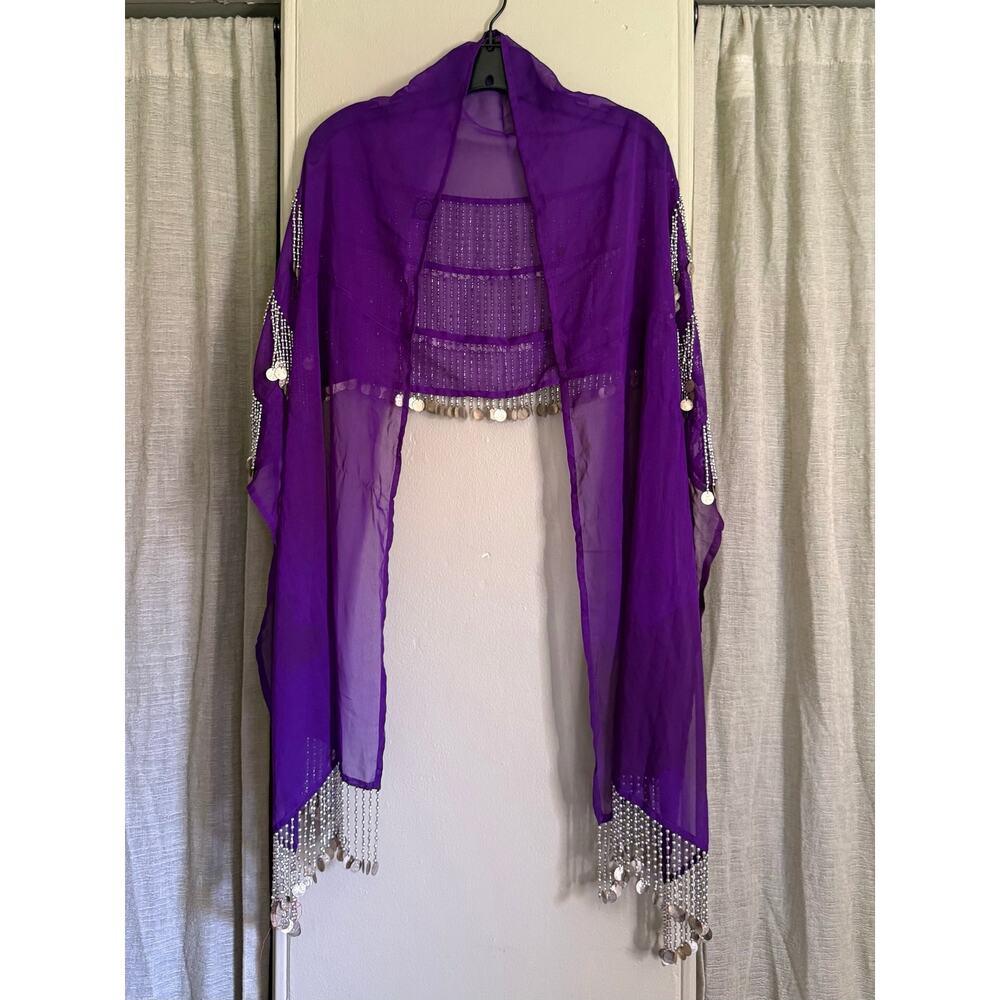 India Arts Y2K Vintage Sheer Purple Belly Dancer Hip Scarf - Picture 2 of 3